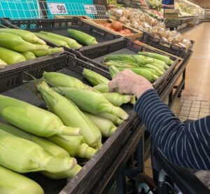 遠距離介護　看護師外出同行　外出付き添い　お買い物同行　外食同行　外食付き添い　歩行器　杖歩行　車椅子　シルバーカー　トイレ介助　広島市　介護保険適応外サービス　　保険外サービス　　