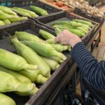 遠距離介護　看護師外出同行　外出付き添い　お買い物同行　外食同行　外食付き添い　歩行器　杖歩行　車椅子　シルバーカー　トイレ介助　広島市　介護保険適応外サービス　　保険外サービス　　
