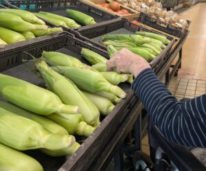 遠距離介護 看護師外出同行 外出付き添い お買い物同行 外食同行 外食付き添い 歩行器 杖歩行 車椅子 シルバーカー トイレ介助 広島市 介護保険適応外サービス 保険外サービス