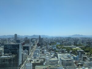 結婚式同席　結婚式付き添い　看護師　介護　介護福祉士　広島市　結婚式場　ホテル　高齢者　車椅子　障害者　保険外自費サービス　食事介助　排泄介助　内服サポート　リーガロイヤル広島