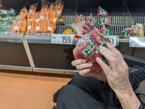 遠距離介護　看護師外出同行　外出付き添い　お買い物同行　外食同行　外食付き添い　歩行器　杖歩行　車椅子　シルバーカー　トイレ介助　広島市　介護保険適応外サービス　　保険外サービス