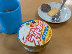 遠距離介護　看護師外出同行　外出付き添い　お買い物同行　外食同行　外食付き添い　歩行器　杖歩行　車椅子　シルバーカー　トイレ介助　広島市　介護保険適応外サービス　　保険外サービス