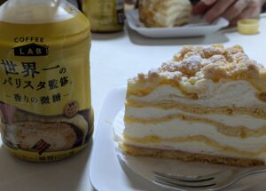 外出同行　外出付き添い　お買い物同行　外食同行　外食付き添い　歩行器　杖歩行　車椅子　シルバーカー　トイレ介助　看護師　広島市　介護保険適応外サービス　保険外サービス　　