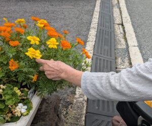 遠距離介護 看護師外出同行 外出付き添い お買い物同行 高齢者施設見守り 外食同行 外食付き添い 歩行器 杖歩行 車椅子 シルバーカー トイレ介助 広島市 介護保険適応外サービス 保険外サービス 介護靴 介護シューズ 通院付き添い 受診同行 診察室付き添い 外出同行 薬局付き添い 外出付き添い 外食同行 歩行器 杖歩行 車椅子 シルバーカー トイレ介助 看護師 介護保険適応外サービス 保険外サービス 診察室同行 がん相談支援センター付き添い 高齢者施設 見守り お話相手