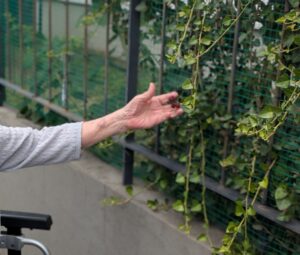 遠距離介護 看護師外出同行 外出付き添い お買い物同行 高齢者施設見守り 外食同行 外食付き添い 歩行器 杖歩行 車椅子 シルバーカー トイレ介助 広島市 介護保険適応外サービス 保険外サービス 介護靴 介護シューズ 通院付き添い 受診同行 診察室付き添い 外出同行 薬局付き添い 外出付き添い 外食同行 歩行器 杖歩行 車椅子 シルバーカー トイレ介助 看護師 介護保険適応外サービス 保険外サービス 診察室同行 がん相談支援センター付き添い 高齢者施設 見守り お話相手