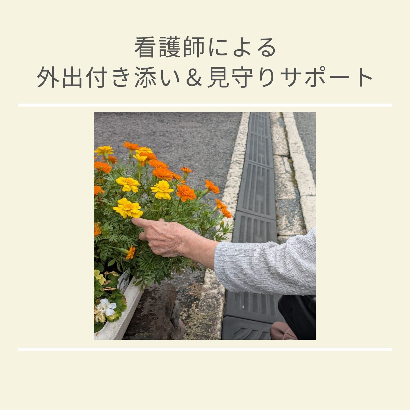 遠距離介護　看護師外出同行　外出付き添い　お買い物同行　高齢者施設見守り　外食同行　外食付き添い　歩行器　杖歩行　車椅子　シルバーカー　トイレ介助　広島市　介護保険適応外サービス　　保険外サービス 介護靴　介護シューズ 通院付き添い　受診同行　診察室付き添い　外出同行　薬局付き添い　外出付き添い　外食同行　歩行器　杖歩行　車椅子　シルバーカー　トイレ介助　看護師　　介護保険適応外サービス　保険外サービス　　診察室同行　がん相談支援センター付き添い　高齢者施設　見守り　お話相手