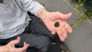 遠距離介護 看護師外出同行 外出付き添い お買い物同行 高齢者施設見守り 外食同行 外食付き添い 歩行器 杖歩行 車椅子 シルバーカー トイレ介助 広島市 介護保険適応外サービス 保険外サービス 介護靴 介護シューズ 通院付き添い 受診同行 診察室付き添い 外出同行 薬局付き添い 外出付き添い 外食同行 歩行器 杖歩行 車椅子 シルバーカー トイレ介助 看護師 介護保険適応外サービス 保険外サービス 診察室同行 がん相談支援センター付き添い 高齢者施設 見守り お話相手