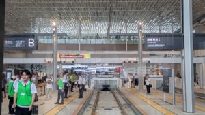 外出付き添い　外食付き添い　広島市　看護師　広島電鉄　駅前大橋ルート　高齢者　車椅子　障害者　保険外自費サービス　食事介助　排泄介助　内服サポート　