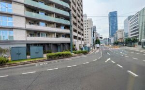 外出付き添い　外食付き添い　広島市　看護師　広島電鉄　駅前大橋ルート　高齢者　車椅子　障害者　保険外自費サービス　食事介助　排泄介助　内服サポート　