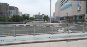 外出付き添い　外食付き添い　広島市　看護師　広島電鉄　駅前大橋ルート　高齢者　車椅子　障害者　保険外自費サービス　食事介助　排泄介助　内服サポート　