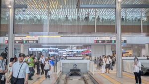外出付き添い　外食付き添い　広島市　看護師　広島電鉄　駅前大橋ルート　高齢者　車椅子　障害者　保険外自費サービス　食事介助　排泄介助　内服サポート　