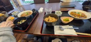 介護タクシー　付き添い　遠距離介護　看護師外出同行　外出付き添い　お買い物同行　高齢者施設見守り　外食同行　外食付き添い　歩行器　杖歩行　車椅子　シルバーカー　トイレ介助　広島市　介護保険適応外サービス　　保険外サービス 介護靴　介護シューズ 通院付き添い　受診同行　診察室付き添い　外出同行　薬局付き添い　外出付き添い　外食同行　歩行器　杖歩行　車椅子　シルバーカー　トイレ介助　看護師　　介護保険適応外サービス　保険外サービス　　診察室同行　がん相談支援センター付き添い　高齢者施設　見守り　お話相手