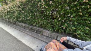 介護タクシー　付き添い　遠距離介護　看護師外出同行　外出付き添い　お買い物同行　高齢者施設見守り　外食同行　外食付き添い　歩行器　杖歩行　車椅子　シルバーカー　トイレ介助　広島市　介護保険適応外サービス　　保険外サービス 介護靴　介護シューズ 通院付き添い　受診同行　診察室付き添い　外出同行　薬局付き添い　外出付き添い　外食同行　歩行器　杖歩行　車椅子　シルバーカー　トイレ介助　看護師　　介護保険適応外サービス　保険外サービス　　診察室同行　がん相談支援センター付き添い　高齢者施設　見守り　お話相手