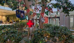 病院付き添い　遠距離介護　看護師外出同行　外出付き添い　お買い物同行　高齢者施設見守り　外食同行　外食付き添い　歩行器　杖歩行　車椅子　シルバーカー　トイレ介助　広島市　介護保険適応外サービス　　保険外サービス 介護靴　 通院付き添い　受診同行　診察室付き添い　外出同行　薬局付き添い　外出付き添い　外食同行　歩行器　杖歩行　車椅子　シルバーカー　トイレ介助　看護師　介護保険適応外サービス　保険外サービス　　診察室同行　がん相談支援センター付き添い　高齢者施設　見守り　お話相手