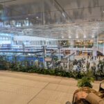 看護師　外出同行　ミナモア　外出付き添い　お買い物同行　高齢者施設見守り　外食同行　外食付き添い　歩行器　杖歩行　車椅子　シルバーカー　トイレ介助　広島市　介護保険適応外サービス　　保険外サービス 介護靴　介護シューズ 通院付き添い　受診同行　診察室付き添い　外出同行　薬局付き添い　外出付き添い　外食同行　歩行器　杖歩行　車椅子　シルバーカー　トイレ介助　看護師　　介護保険適応外サービス　保険外サービス　　診察室同行　がん相談支援センター付き添い　高齢者施設　見守り　お話相手