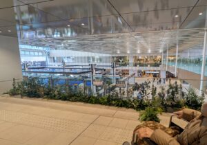 看護師　外出同行　ミナモア　外出付き添い　お買い物同行　高齢者施設見守り　外食同行　外食付き添い　歩行器　杖歩行　車椅子　シルバーカー　トイレ介助　広島市　介護保険適応外サービス　　保険外サービス 介護靴　介護シューズ 通院付き添い　受診同行　診察室付き添い　外出同行　薬局付き添い　外出付き添い　外食同行　歩行器　杖歩行　車椅子　シルバーカー　トイレ介助　看護師　　介護保険適応外サービス　保険外サービス　　診察室同行　がん相談支援センター付き添い　高齢者施設　見守り　お話相手