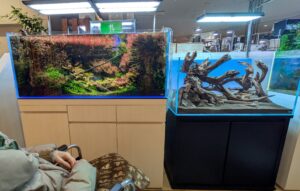 看護師 外出同行 ミナモア 外出付き添い お買い物同行 高齢者施設見守り 外食同行 外食付き添い 歩行器 杖歩行 車椅子 シルバーカー トイレ介助 広島市 介護保険適応外サービス 保険外サービス 介護靴 介護シューズ 通院付き添い 受診同行 診察室付き添い 外出同行 薬局付き添い 外出付き添い 外食同行 歩行器 杖歩行 車椅子 シルバーカー トイレ介助 看護師 介護保険適応外サービス 保険外サービス 診察室同行 がん相談支援センター付き添い 高齢者施設 見守り お話相手