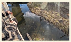 看護師外出同行　外出付き添い　お買い物同行　高齢者施設見守り　外食同行　外食付き添い　歩行器　杖歩行　車椅子　シルバーカー　トイレ介助　広島市　介護保険適応外サービス　　保険外サービス 介護靴　介護シューズ 通院付き添い　受診同行　診察室付き添い　外出同行　薬局付き添い　外出付き添い　外食同行　歩行器　杖歩行　車椅子　シルバーカー　トイレ介助　看護師　　介護保険適応外サービス　保険外サービス　　診察室同行　がん相談支援センター付き添い　高齢者施設　見守り　お話相手　脳トレ　散歩