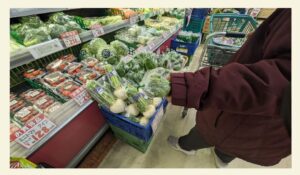 看護師外出同行　外出付き添い　お買い物同行　高齢者施設見守り　外食同行　外食付き添い　歩行器　杖歩行　車椅子　シルバーカー　トイレ介助　広島市　介護保険適応外サービス　　保険外サービス 介護靴　介護シューズ 通院付き添い　受診同行　診察室付き添い　外出同行　薬局付き添い　外出付き添い　外食同行　歩行器　杖歩行　車椅子　シルバーカー　トイレ介助　看護師　　介護保険適応外サービス　保険外サービス　　診察室同行　がん相談支援センター付き添い　高齢者施設　見守り　お話相手　脳トレ　散歩