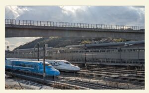 看護師外出同行　外出付き添い　お買い物同行　高齢者施設見守り　外食同行　外食付き添い　歩行器　杖歩行　車椅子　シルバーカー　トイレ介助　広島市　介護保険適応外サービス　　保険外サービス 介護靴　介護シューズ 通院付き添い　受診同行　診察室付き添い　外出同行　薬局付き添い　外出付き添い　外食同行　歩行器　杖歩行　車椅子　シルバーカー　トイレ介助　看護師　　介護保険適応外サービス　保険外サービス　　診察室同行　がん相談支援センター付き添い　高齢者施設　見守り　お話相手　脳トレ　散歩