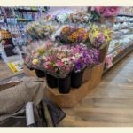 お墓参り　看護師外出同行　外出付き添い　お買い物同行　高齢者施設見守り　外食同行　外食付き添い　歩行器　杖歩行　車椅子　シルバーカー　トイレ介助　広島市　介護保険適応外サービス　　保険外サービス 介護靴　介護シューズ 通院付き添い　受診同行　診察室付き添い　外出同行　薬局付き添い　外出付き添い　外食同行　歩行器　杖歩行　車椅子　シルバーカー　トイレ介助　看護師　　介護保険適応外サービス　保険外サービス　　診察室同行　がん相談支援センター付き添い　高齢者施設　見守り　お話相手