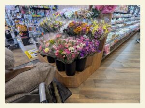 お墓参り 看護師外出同行 外出付き添い お買い物同行 高齢者施設見守り 外食同行 外食付き添い 歩行器 杖歩行 車椅子 シルバーカー トイレ介助 広島市 介護保険適応外サービス 保険外サービス 介護靴 介護シューズ 通院付き添い 受診同行 診察室付き添い 外出同行 薬局付き添い 外出付き添い 外食同行 歩行器 杖歩行 車椅子 シルバーカー トイレ介助 看護師 介護保険適応外サービス 保険外サービス 診察室同行 がん相談支援センター付き添い 高齢者施設 見守り お話相手