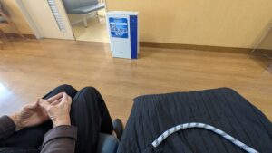 遠距離介護　看護師外出同行　外出付き添い　お買い物同行　高齢者施設見守り　外食同行　外食付き添い　歩行器　杖歩行　車椅子　シルバーカー　トイレ介助　広島市　介護保険適応外サービス　　保険外サービス 介護靴　介護シューズ 通院付き添い　受診同行　診察室付き添い　外出同行　薬局付き添い　外出付き添い　外食同行　歩行器　杖歩行　車椅子　シルバーカー　トイレ介助　看護師　　介護保険適応外サービス　保険外サービス　　診察室同行　がん相談支援センター付き添い　高齢者施設　見守り　お話相手