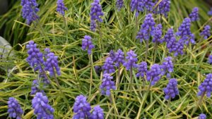 遠距離介護　看護師外出同行　外出付き添い　お買い物同行　高齢者施設見守り　外食同行　外食付き添い　歩行器　杖歩行　車椅子　シルバーカー　トイレ介助　広島市　介護保険適応外サービス　　保険外サービス 介護靴　介護シューズ 通院付き添い　受診同行　診察室付き添い　外出同行　薬局付き添い　外出付き添い　外食同行　歩行器　杖歩行　車椅子　シルバーカー　トイレ介助　看護師　　介護保険適応外サービス　保険外サービス　　診察室同行　がん相談支援センター付き添い　高齢者施設　見守り　お話相手