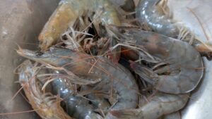 看護師 外出同行 外出付き添い お買い物同行 高齢者施設見守り 外食同行 外食付き添い 歩行器 杖歩行 車椅子 シルバーカー トイレ介助 広島市 介護保険適応外サービス 保険外サービス 介護靴 介護シューズ 通院付き添い 受診同行 診察室付き添い 外出同行 薬局付き添い 外出付き添い 外食同行 歩行器 杖歩行 車椅子 シルバーカー トイレ介助 看護師 介護保険適応外サービス 保険外サービス 診察室同行 がん相談支援センター付き添い 高齢者施設 見守り お話相手