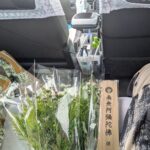 広島市　看護師　お墓参り同行